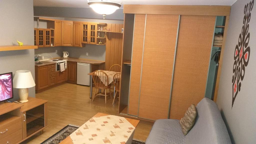 Студио (Номер-студио с террасой), Apartamenty Malinka