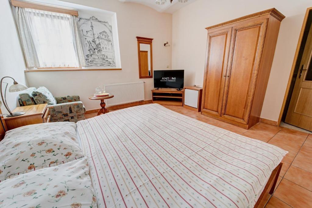 Двухместный (Двухместный номер с 1 кроватью) гостевого дома Rodinný Antoni, Чески-Крумлов