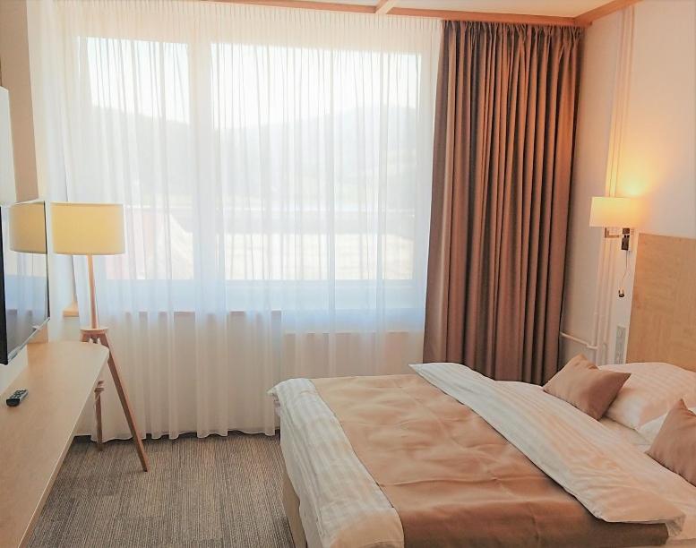 Двухместный (Улучшенный двухместный номер с 1 кроватью) отеля Hotel Adamantino, Лугачовице