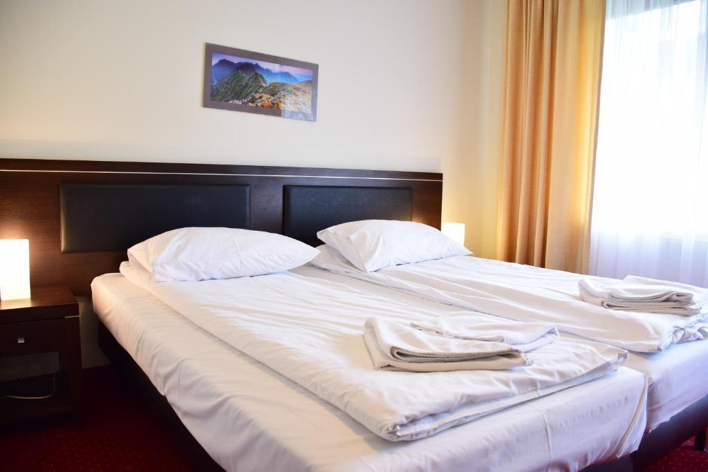Двухместный (Двухместный номер с 1 кроватью или 2 отдельными кроватями, вид на горы) отеля Willa Halka, Закопане