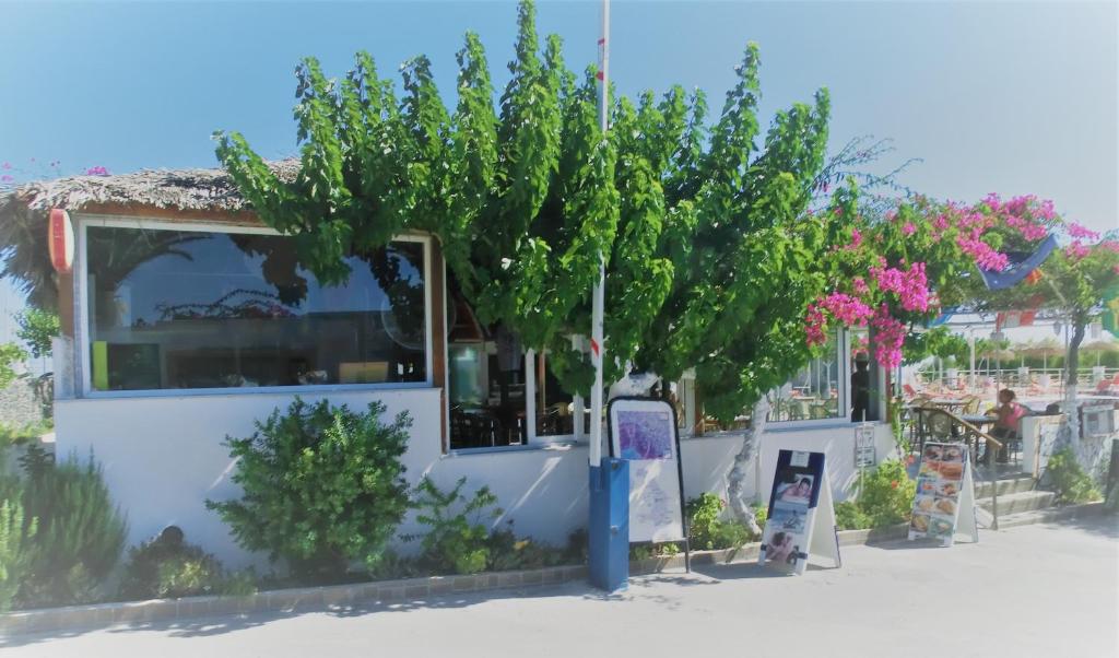 Номер (Двухместный шатер с 1 кроватью), Santorini Hostel