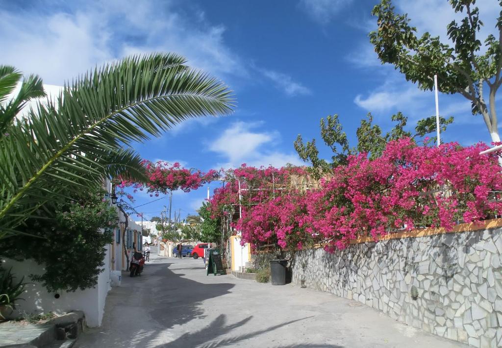 Номер (Двухместный шатер), Santorini Hostel