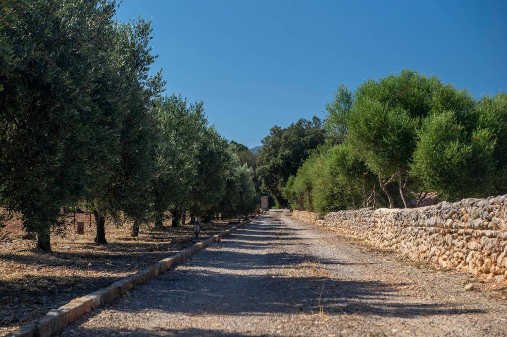 Номер (Дом с 4 спальнями), Finca Ses planes