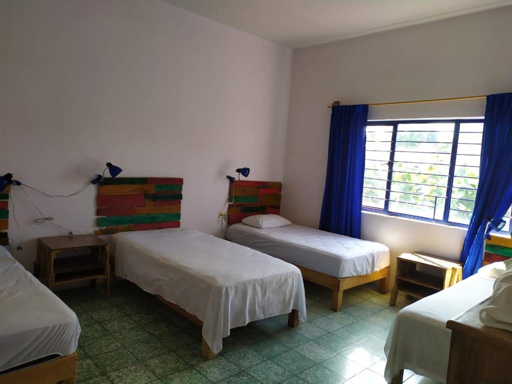 Четырехместный (Четырехместный номер эконом-класса с общей ванной комнатой) гостевого дома Nangpa Hostel, Гвадалахара