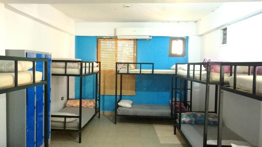 Номер (Кровать в общем 10-местном номере для мужчин) хостела Deep Blue Divers Hostel Dahab, Дахаб