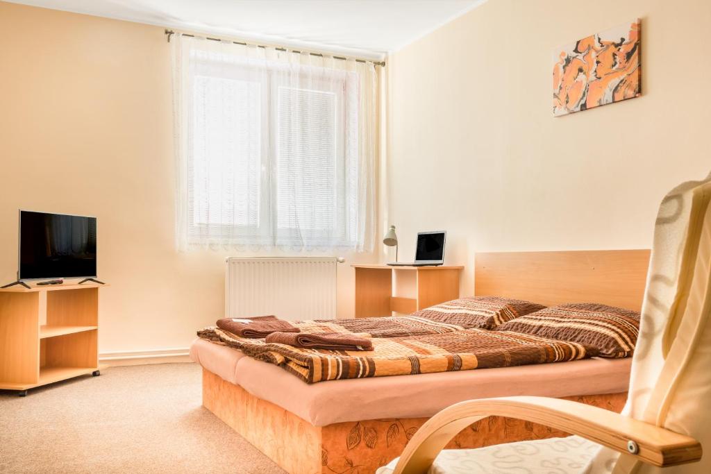 Двухместный (Двухместный номер с 1 кроватью или 2 отдельными кроватями) отеля Hotel Zannam, Брно