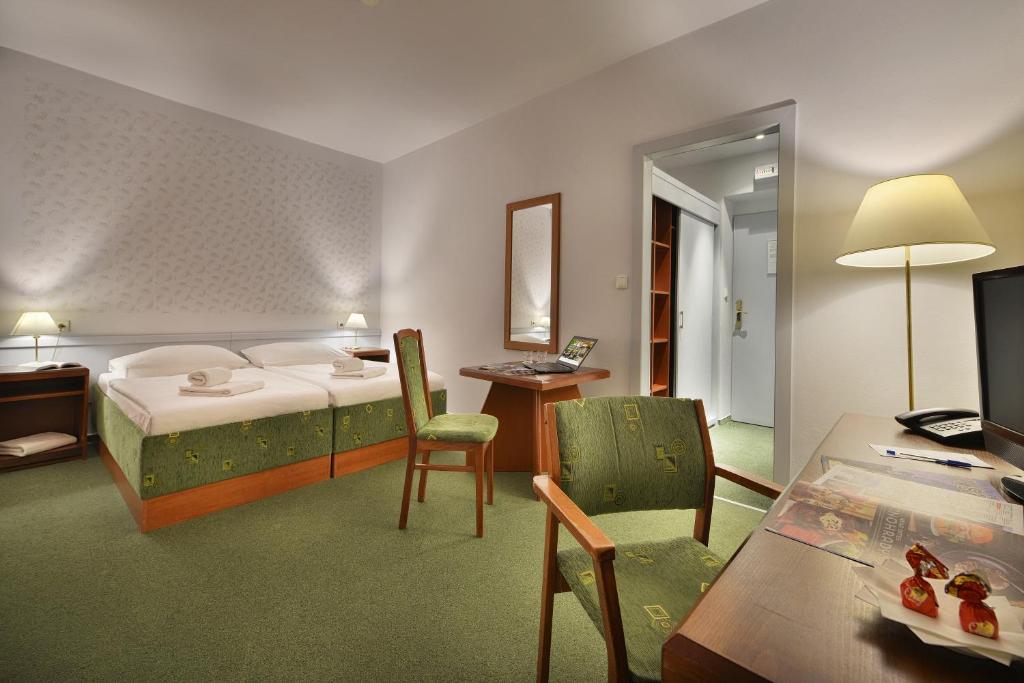 Двухместный (Двухместный номер эконом-класса с 1 кроватью) отеля Three Crowns Hotel, Прага