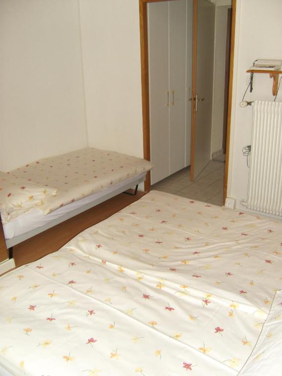 Двухместный (Двухместный номер эконом-класса с 1 кроватью) хостела Vista Resort Hostel, Гштад