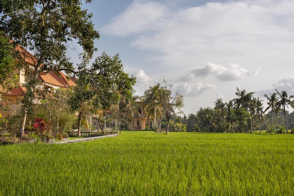 Двухместный (Номер Делюкс), Green Field Hotel and Restaurant