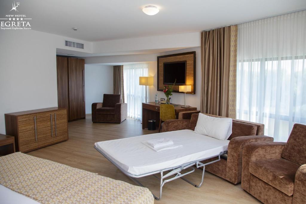 Двухместный (Большой двухместный номер с 1 кроватью) отеля New Hotel Egreta, Тулча
