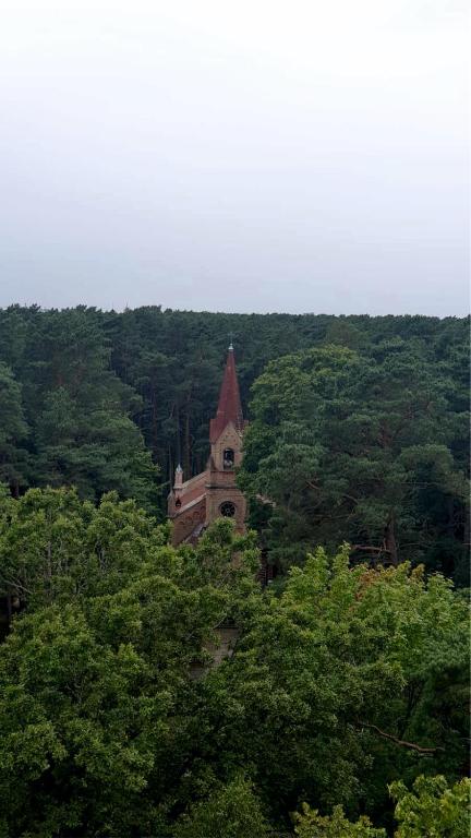 Сьюит (Семейный люкс), Санаторий Белоруссия