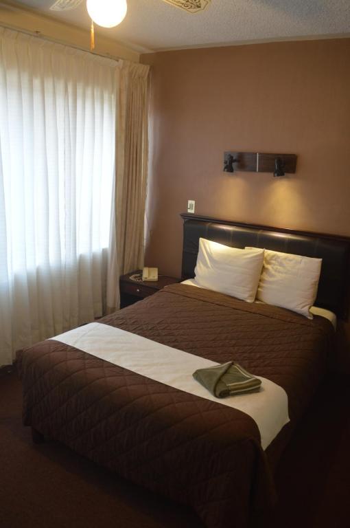 Двухместный (Двухместный номер с 1 кроватью) отеля Hotel Flamingo Kristal, Ирапуато