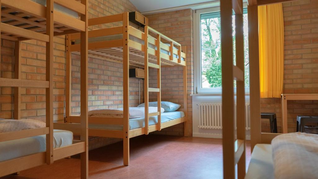 Номер (Кровать в общем 6-местном номере) хостела St. Gallen Youth Hostel, Санкт-Галлен