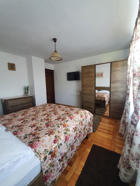 Двухместный (Двухместный номер с 1 кроватью) гостевого дома Pensiunea Iris, Сигету-Мармацией
