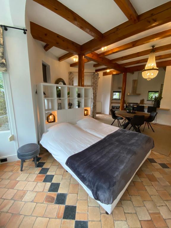 Студио (Двухместный номер-студио Делюкс с 1 кроватью), Waterlodges Hajé de Lepelaar