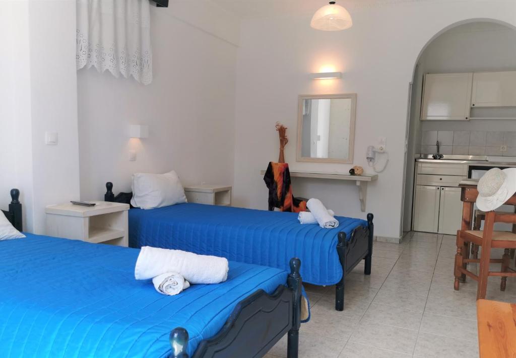 Двухместный (Бюджетный двухместный номер на цокольном этаже с 2 отдельными кроватями) апарт-отеля Aretousa Villas, Перисса