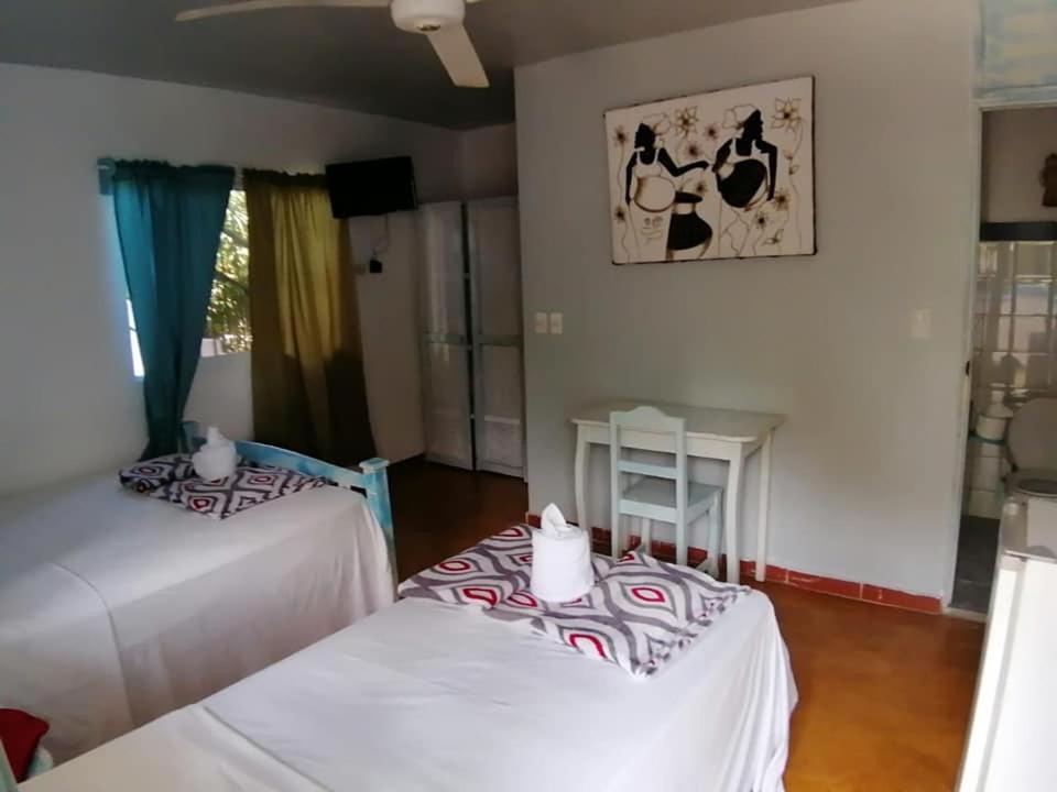 Двухместный (Двухместный номер с 1 кроватью или 2 отдельными кроватями) отеля Hotel Casa Larimar, Лас-Терренас
