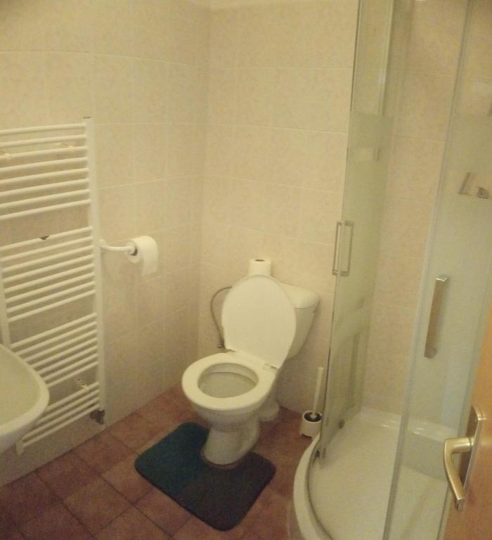 Двухместный (Двухместный номер с 2 отдельными кроватями и собственной ванной комнатой) гостевого дома Měšťanský Dům, Свобода-над-Упой