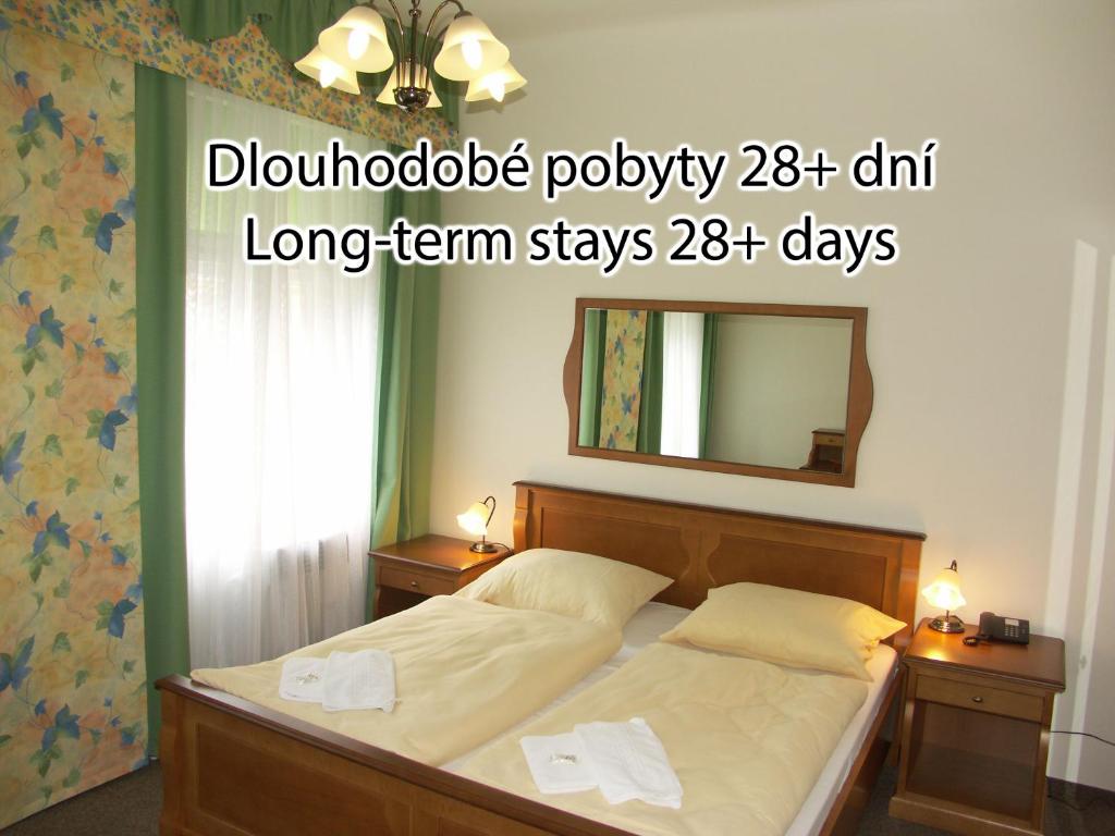 Двухместный (Двухместный номер Делюкс с 1 кроватью или 2 отдельными кроватями) отеля Brezina Pension, Прага