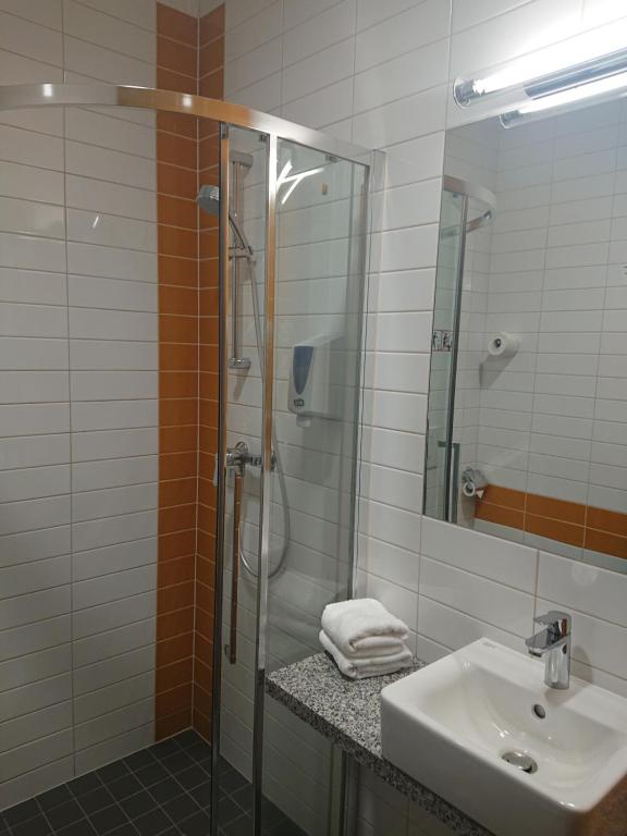 Одноместный (Одноместный номер с собственной ванной комнатой) отеля Algiro Hotel, Каунас