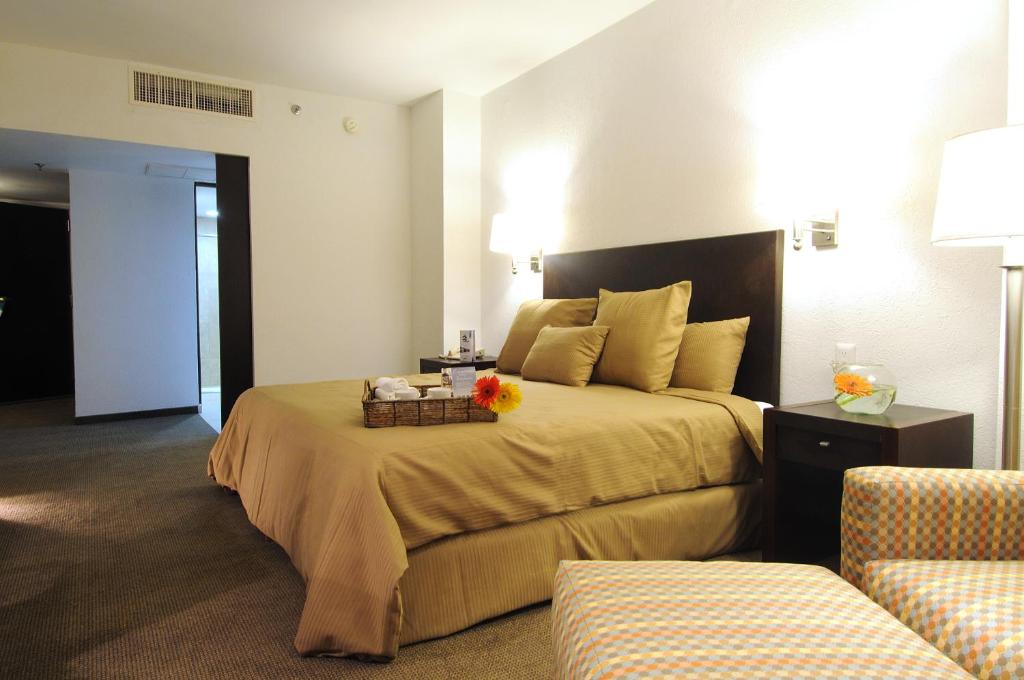 Двухместный (Preferential Room with One Bed) отеля Mision Torreon, Торреон