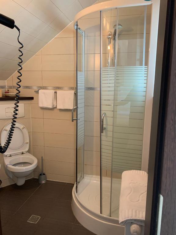 Двухместный (Двухместный номер с 2 отдельными кроватями и собственной ванной комнатой) гостевого дома Vila Palace, Хунеадора