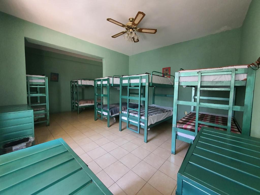 Номер (Кровать в общем номере для мужчин и женщин с 10 кроватями) хостела Hierba De Conejo Hostel, Оахака-де-Хуарес