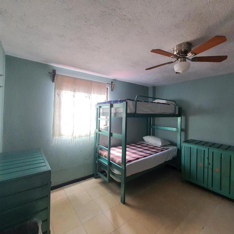 Номер (Кровать в общем 4-местном номере для мужчин и женщин) хостела Hierba De Conejo Hostel, Оахака-де-Хуарес