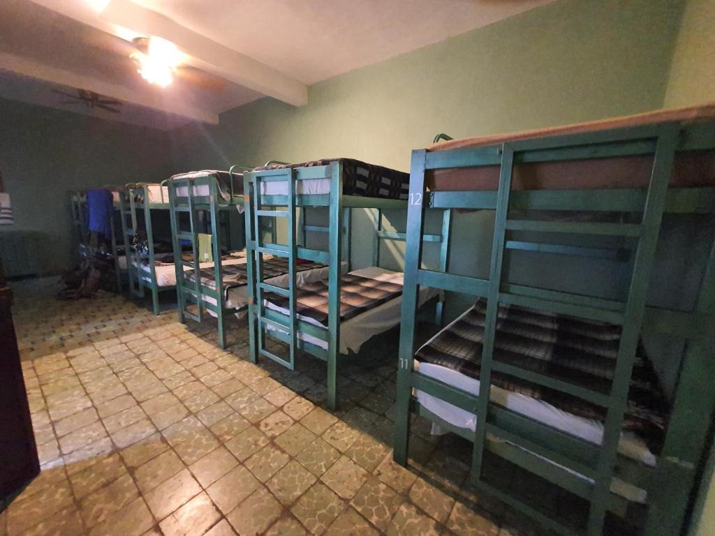 Номер (Кровать в общем 12-местном номере) хостела Hierba De Conejo Hostel, Оахака-де-Хуарес