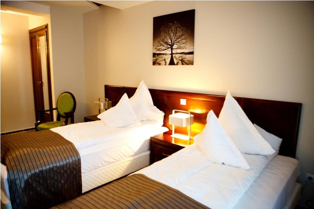 Двухместный (Стандартный двухместный номер с 1 кроватью или 2 отдельными кроватями) отеля Hotel Belvedere & SPA, Сучава