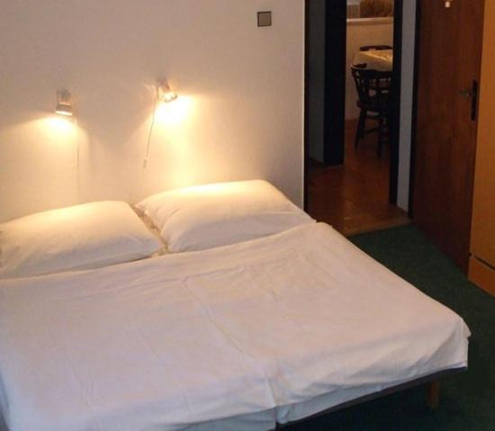 Двухместный (Двухместный номер с 1 кроватью или 2 отдельными кроватями) отеля Vila Altwaldorf B&B Vysoke Tatry, Высокие Татры