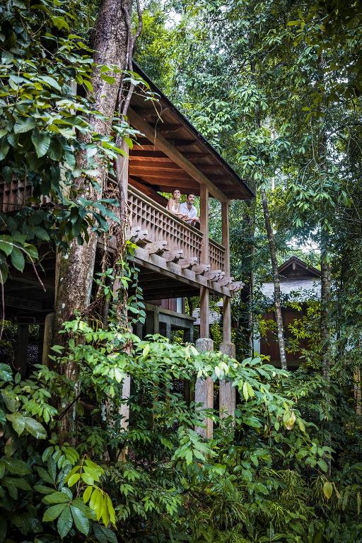Двухместный (Пакет услуг Staycation: Вилла «Тропический лес» с кроватью размера «king-size» или 2 отдельными кроватями (для резидентов Малайзии)) курортного отеля The Datai Langkawi, Лангкави