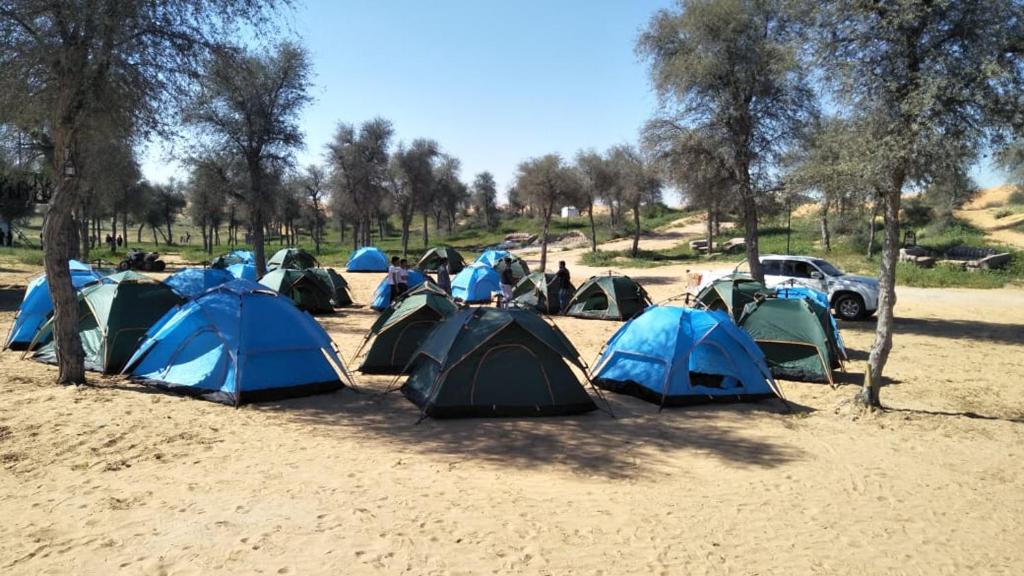 Номер (Шатер), Кемпинг The Dunes Camping & Safari RAK