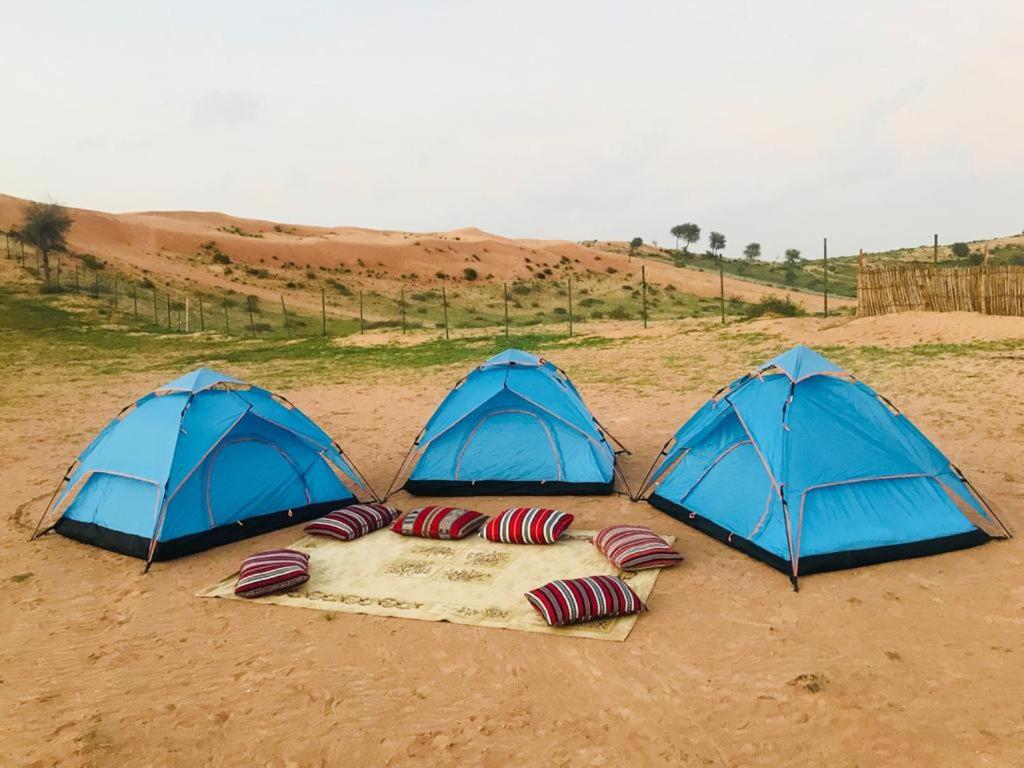 Номер (Шатер) кемпинга The Dunes Camping & Safari RAK, Рас-эль-Хайма