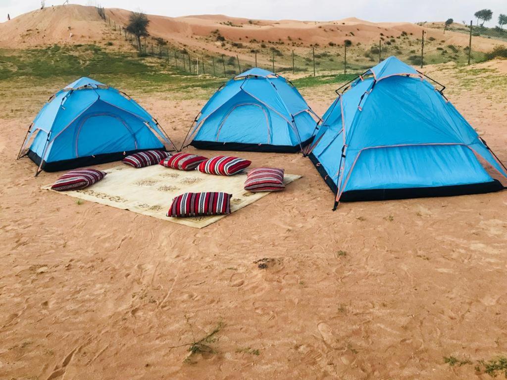 Номер (Шатер), Кемпинг The Dunes Camping & Safari RAK