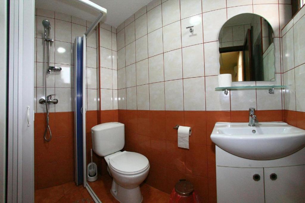 Одноместный (Одноместный номер с ванной комнатой) гостевого дома Pensiunea Jiul Central, Тыргу-Жиу