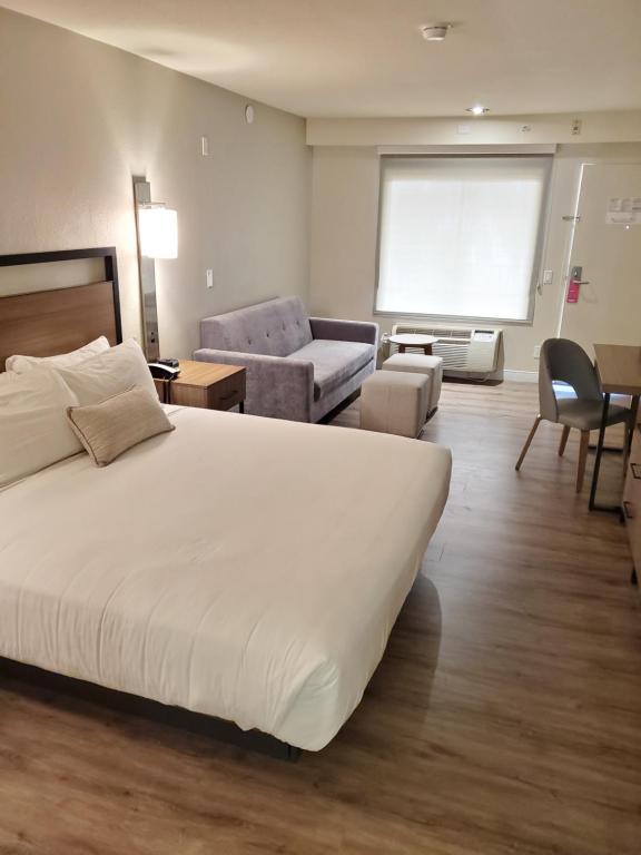 Сьюит (1 King Bed, Sofa Bed, Deluxe Room, Non-Smoking), Wyndham Garden San Diego