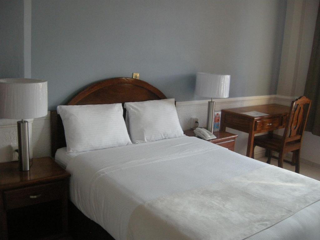 Двухместный (Двухместный номер с 1 кроватью) отеля Hotel Galerias, Лагос-де-Морено