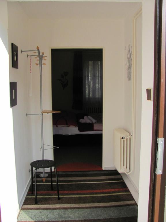 Двухместный (Двухместный номер Делюкс с 1 кроватью или 2 отдельными кроватями) гостевого дома Penzion Muraty, Острава