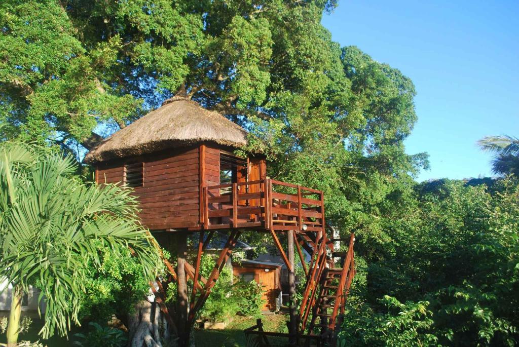 Номер (Хижина на дереве) гостевого дома Tree Lodge Mauritius, Бель-Мар