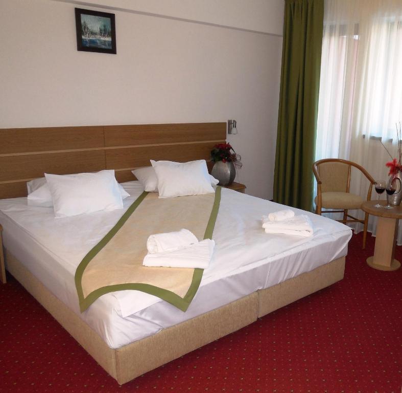 Двухместный (Стандартный двухместный номер с 1 кроватью) отеля Hotel Carpați, Предял