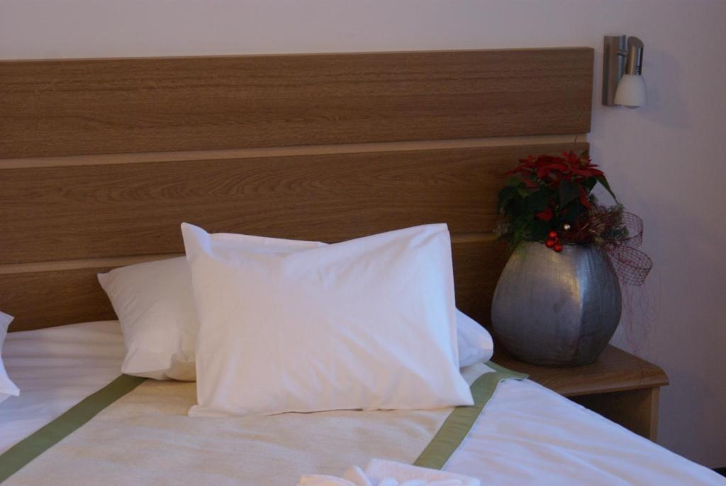 Двухместный (Стандартный двухместный номер с 2 отдельными кроватями) отеля Hotel Carpați, Предял