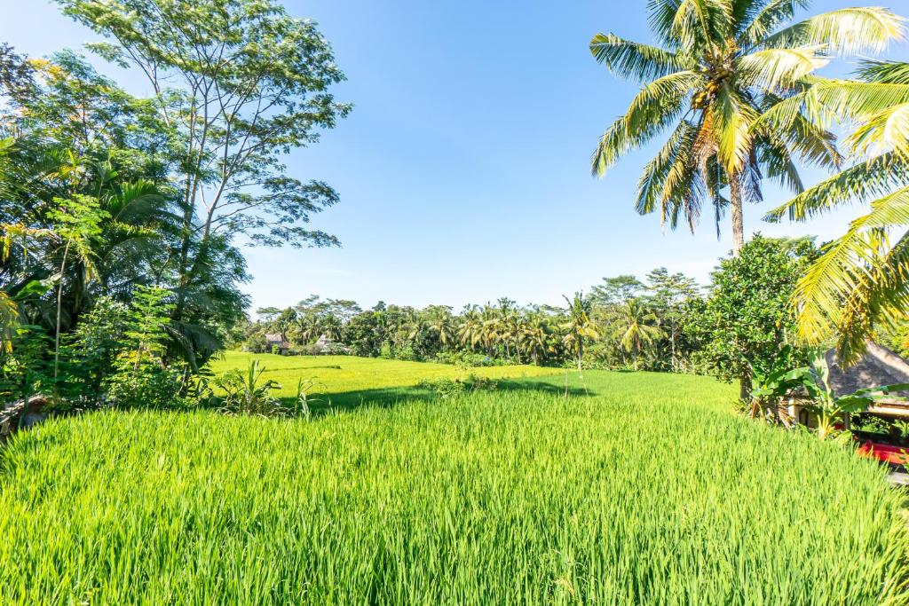 Вилла (Passion Villa with Private Pool), Rouge - Private Villas Ubud