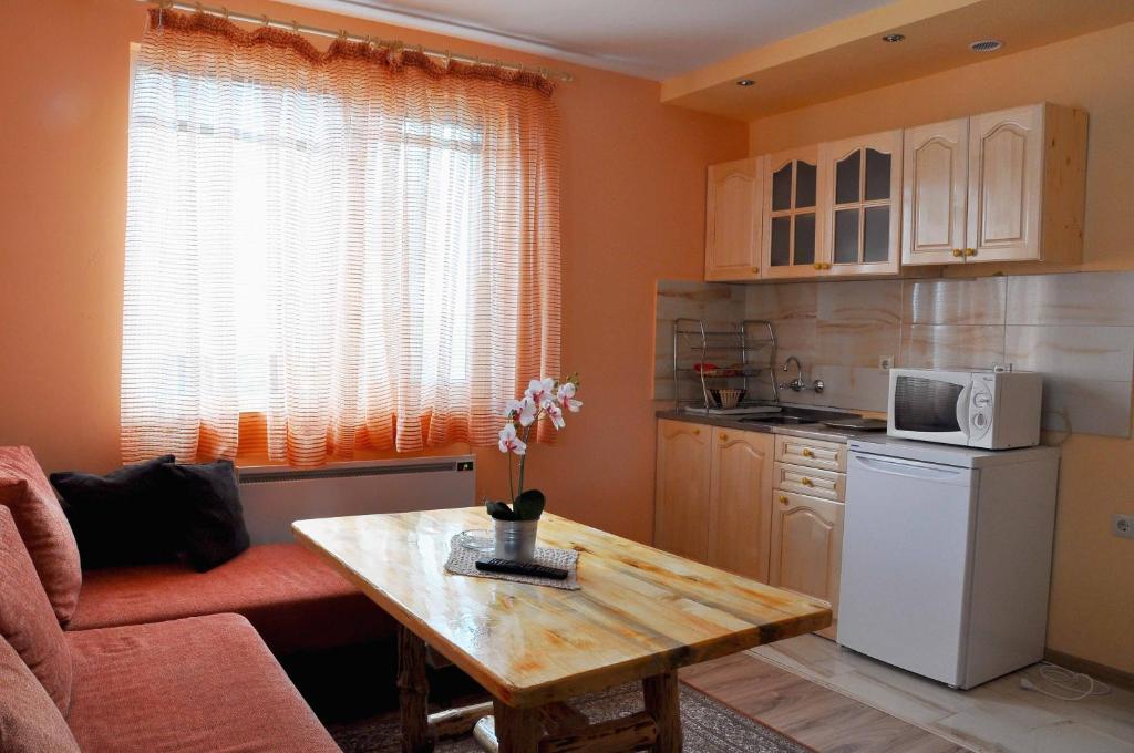 Апартаменты (Апартаменты с 1 спальней и камином) гостевого дома Guest House Eli, Сапарева-Баня