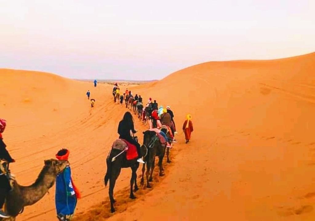Sahara camel trek camp