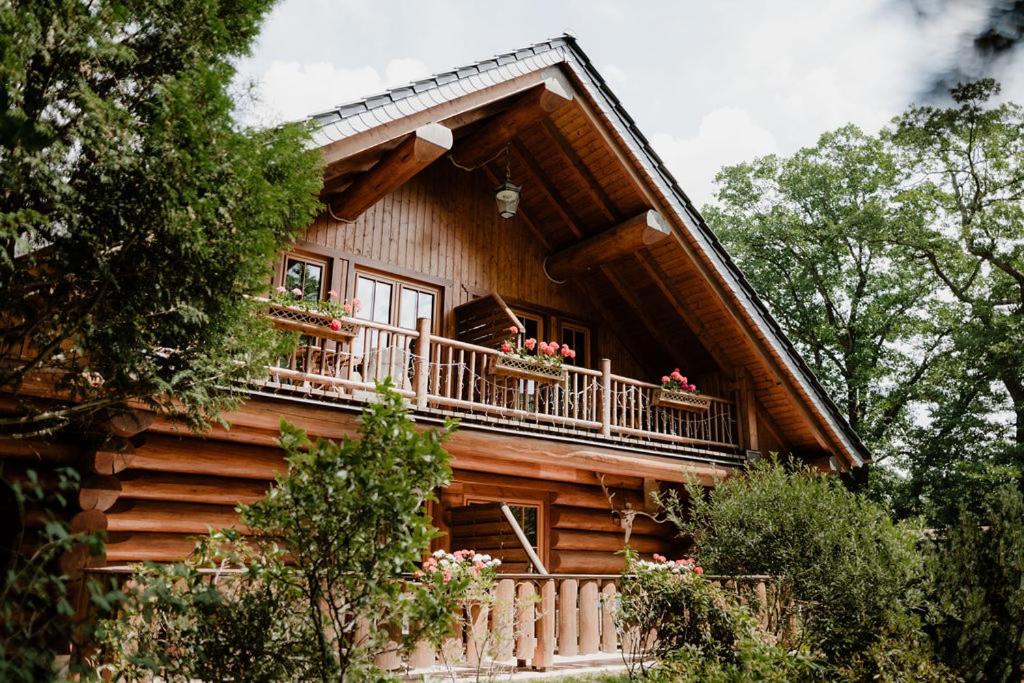 Двухместный (Double Room with Terrace Log House), Pension Forsthaus Georgshöhe