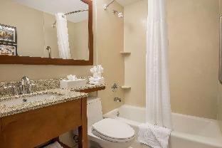 Двухместный (Queen with Accessible Roll-in Shower), The Staten Island Inn