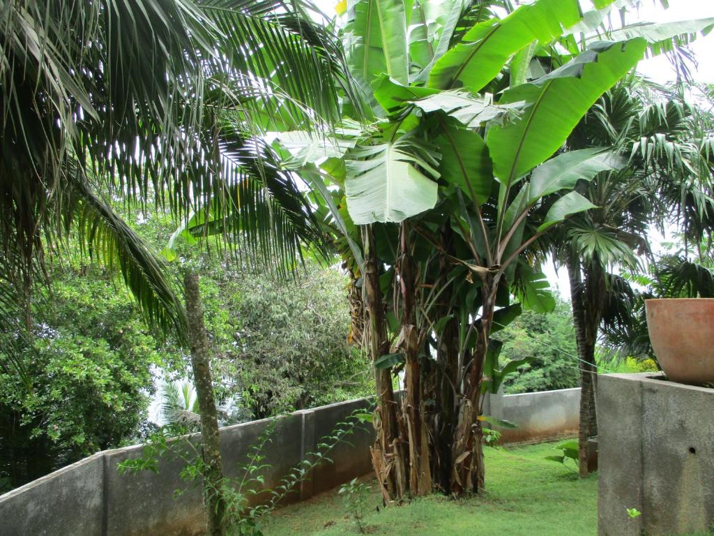 Номер (Улучшенное шале), Chalets Bougainville