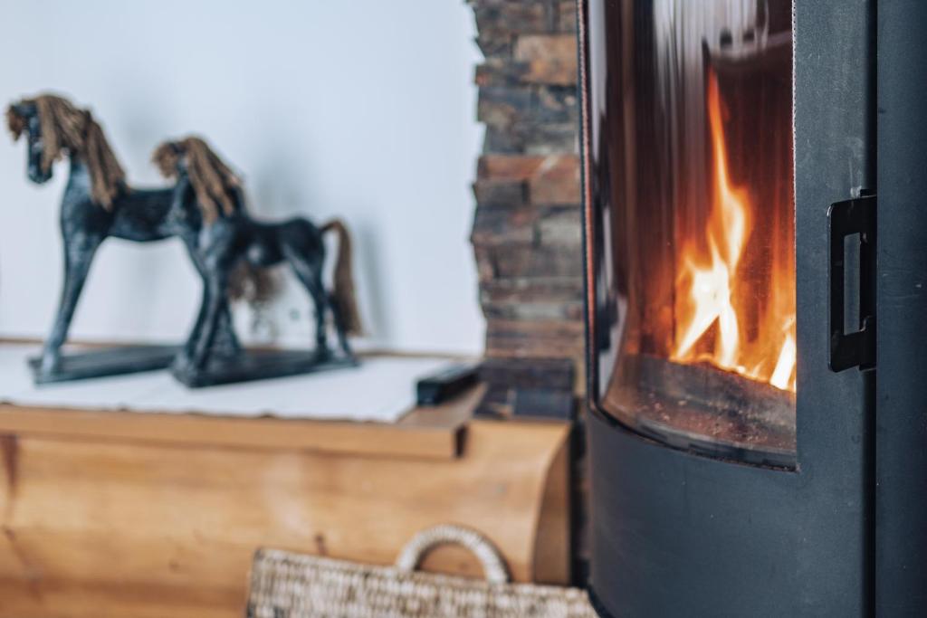 Апартаменты (Апартаменты с камином), Willa Gardenia