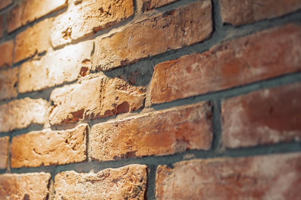 Апартаменты (Апартаменты с 2 спальнями), Willa Gardenia